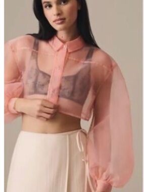 Anthropologie Sheer Blush Pink Cropped Button-Up Top